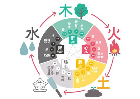 風水 火 水 木 金 土|風水の基本「五行」について – ワールド・オブ・風水。